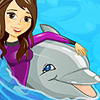 My Dolphin Show