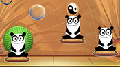 Feed the Panda