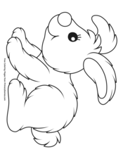 Fluffy Bunny