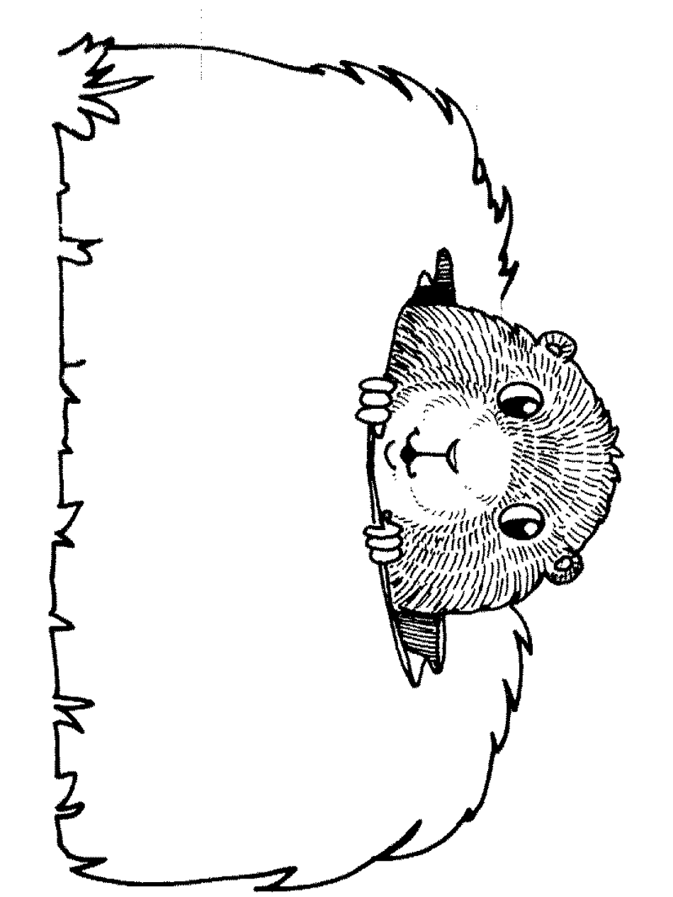 Groundhog Free Colouring Pages