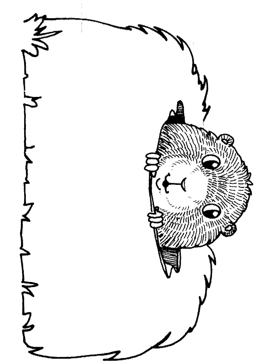 Groundhog Day Colouring Pages Free