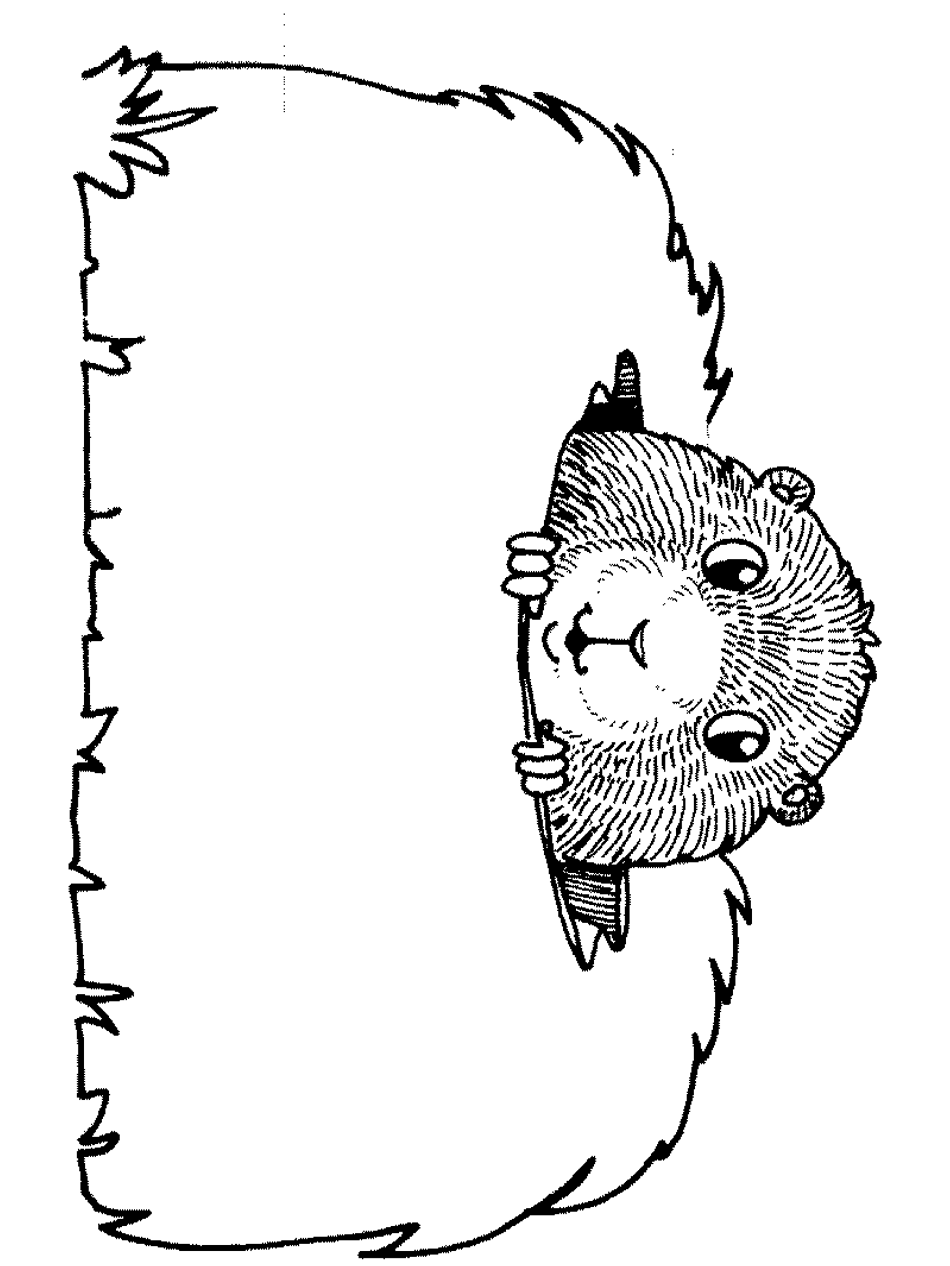 Groundhog Coloring Pages Kidsuki