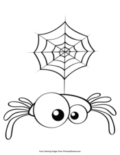 Cute Spider