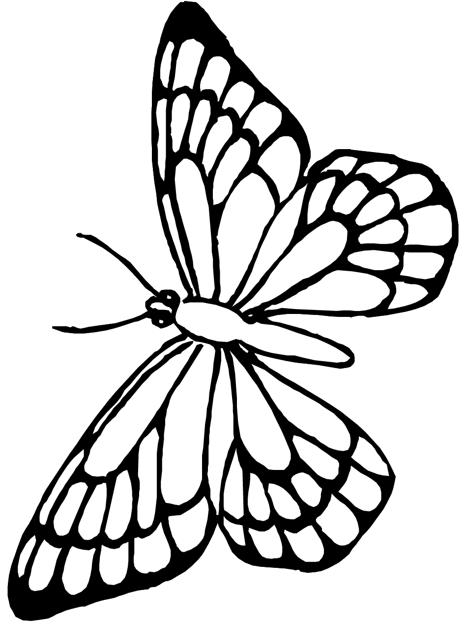 Butterfly Coloring Pages PrimaryGamescom