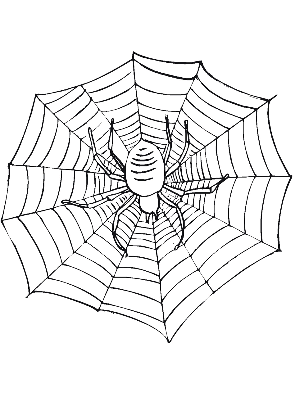 garden bugs coloring pages - photo #30