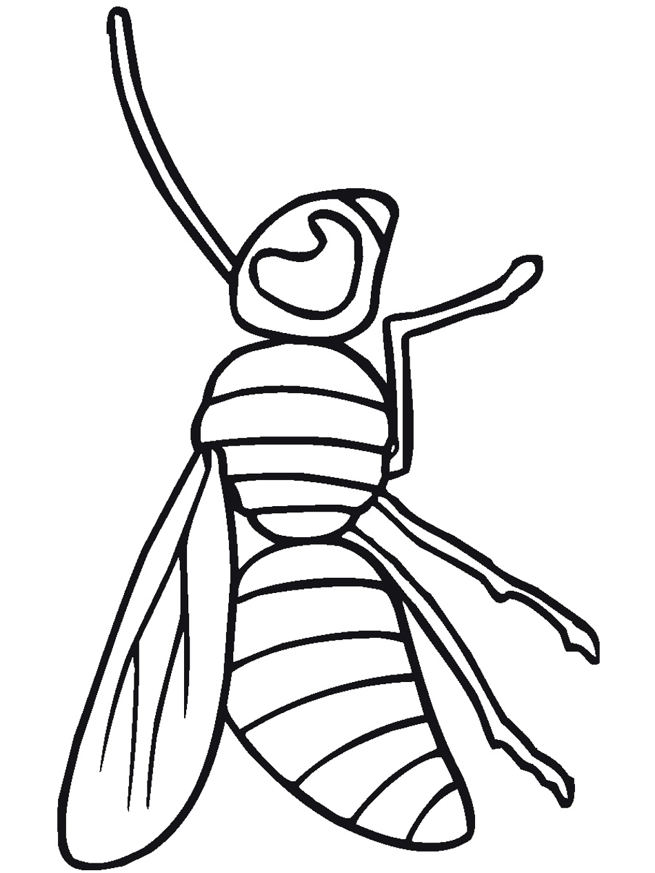 g708 color fly coloring pages - photo #32