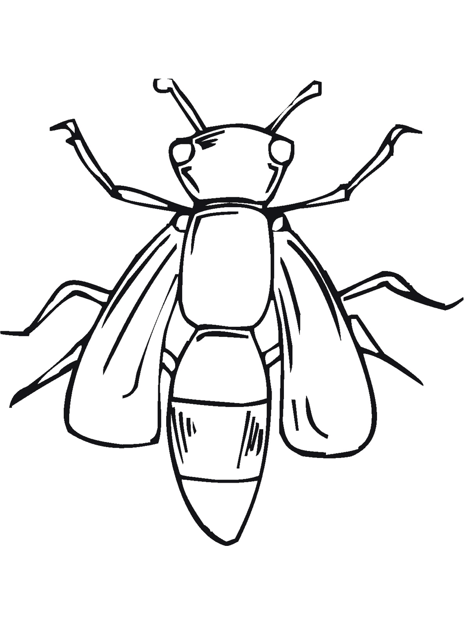 g708 color fly coloring pages - photo #30