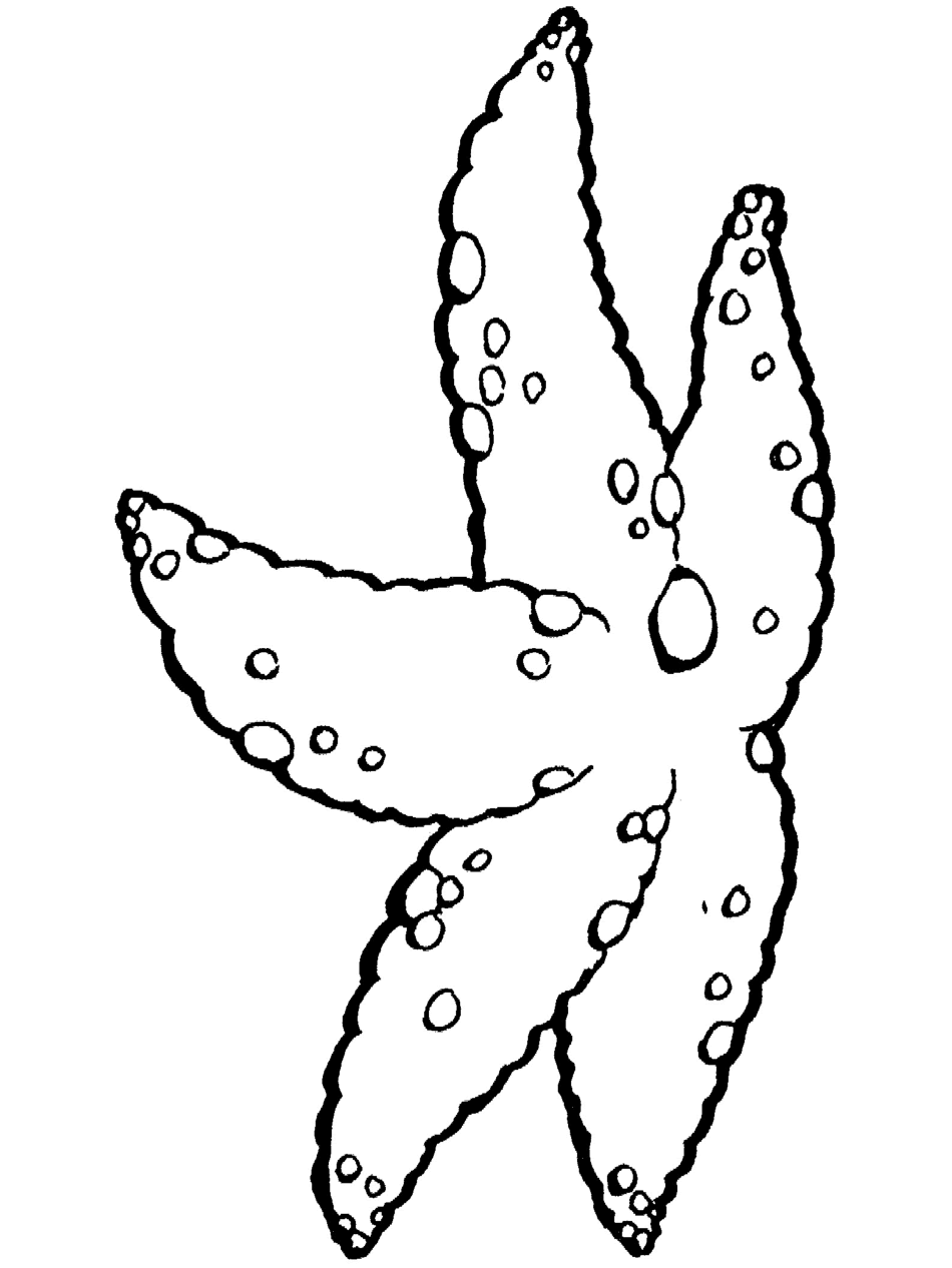 ocean coloring pages colored - photo #49