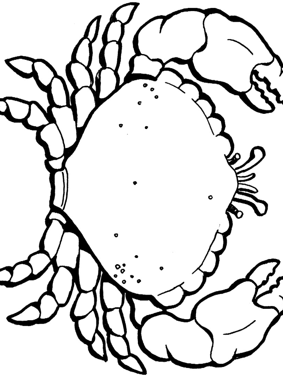 ocean animal coloring pages for preschoolers - photo #41