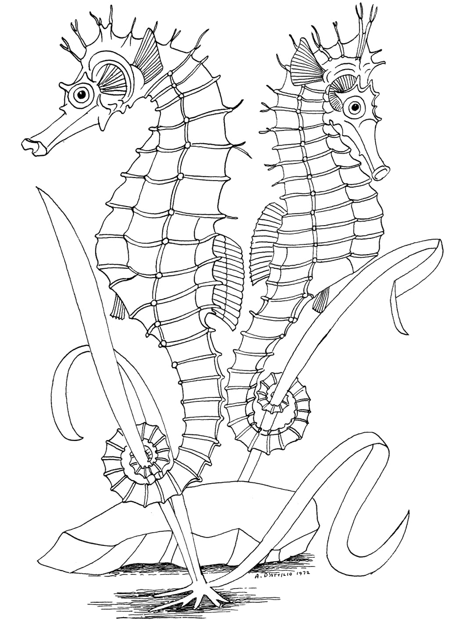 ocean coloring pages and activities - photo #30