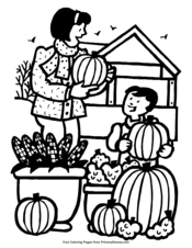 Picking Pumpkins