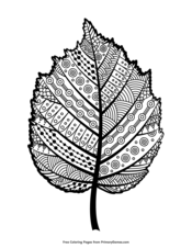Zentangle Hazel Leaf
