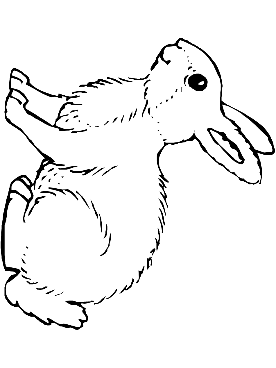 Bunny Rabbit Coloring Page | Printable Spring Coloring eBook - PrimaryGames