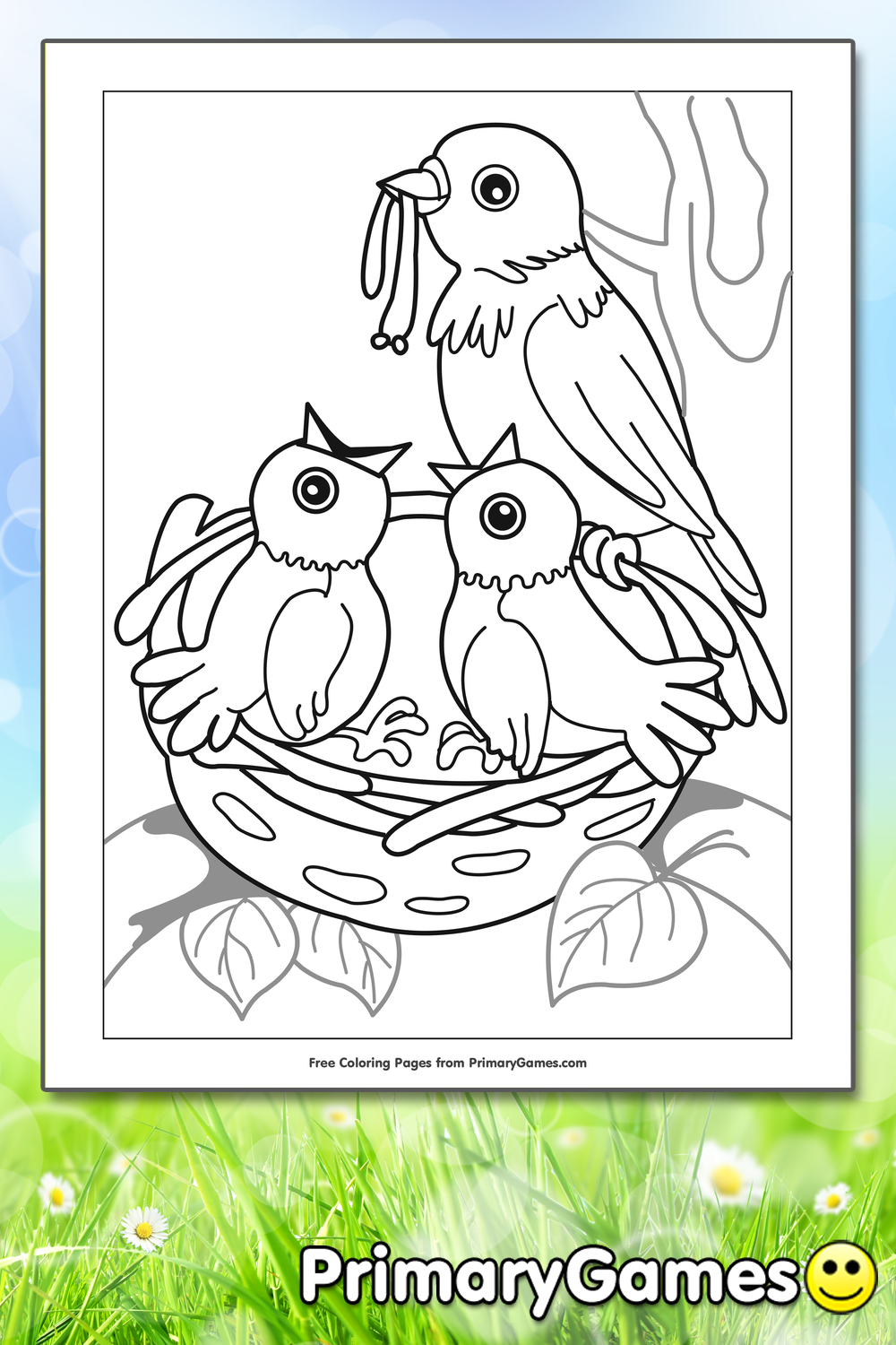 Birds in Nest Coloring Page | Printable Spring Coloring ...