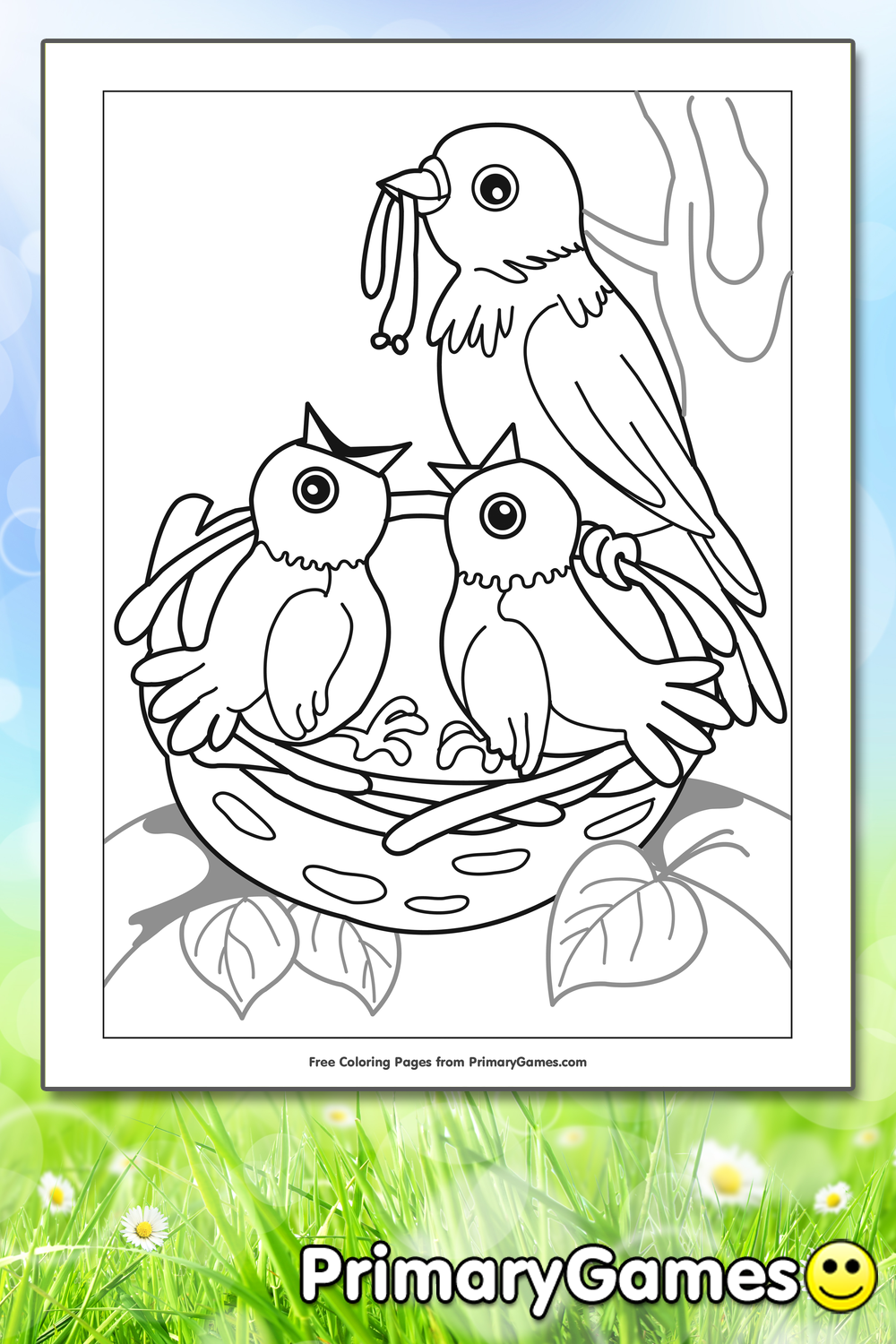 Birds in Nest Coloring Page | Printable Spring Coloring eBook