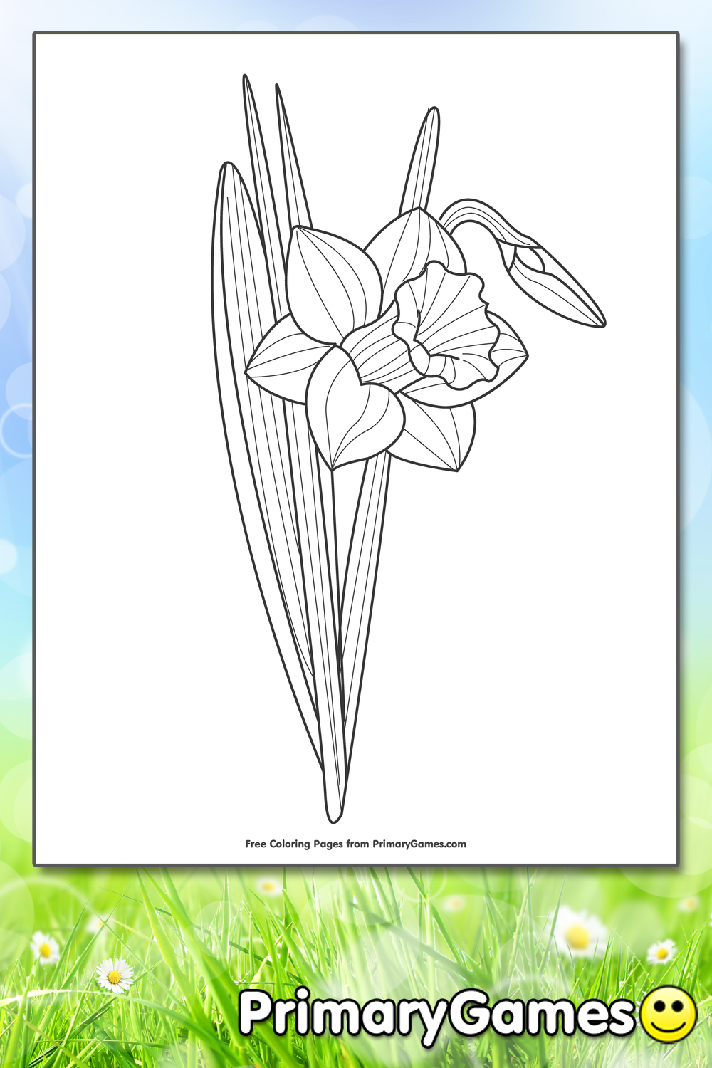 Daffodil Coloring Page   Printable Spring Coloring eBook ...
