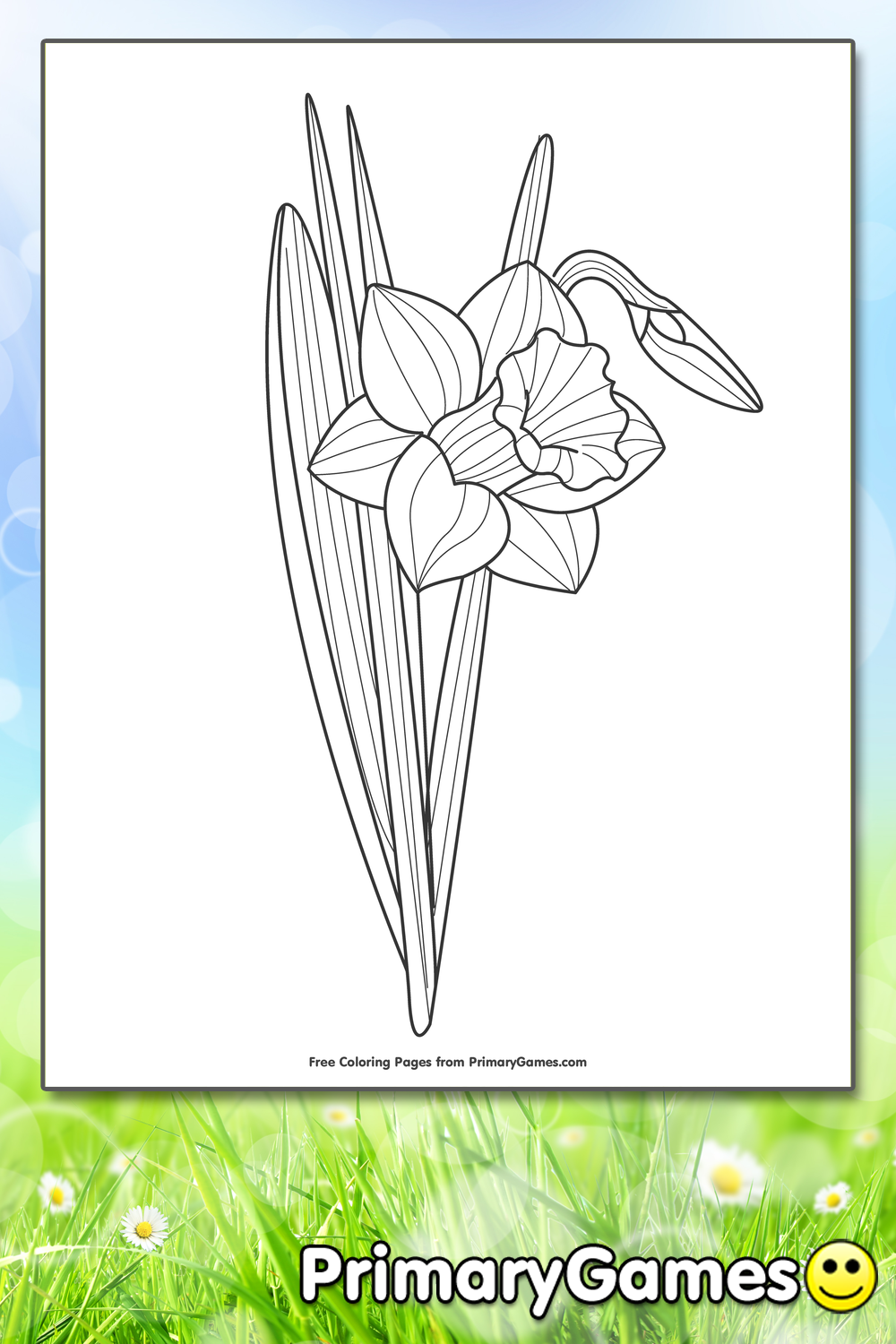 Daffodil Coloring Page | Printable Spring Coloring eBook - PrimaryGames