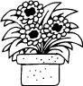 Flower Pot