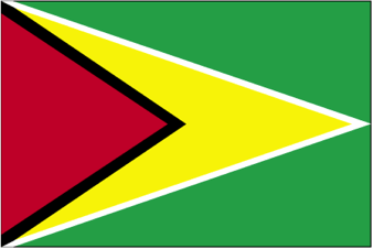 flag game online flag game online