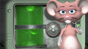 Mouse in the House