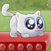 Extreme Kitten