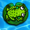 Leaping Frog