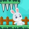 Rabbit Run Adventure