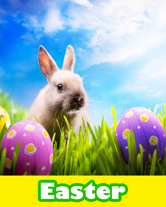 Easter shop computer games