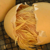 Chick Hatching From Egg