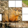 Groundhog Day Block Puzzle