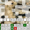 Groundhog Day Hangman