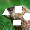 Groundhog Day Shape Puzzle