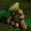 Potatoes and Cabbage (St. Patrick's Day Song)