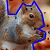 Animals Dot to Dot Puzzle