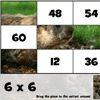 Math Tiles: Groundhog Day Multiplication