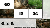 Math Tiles: Groundhog Day Multiplication