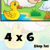 Math Tiles: Spring Multiplication