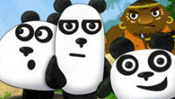 3 Pandas