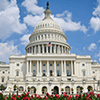 US Capitol Jigsaw Puzzle