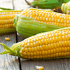 Corn Jigsaw Puzzle