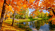 Fall Jigsaw Puzzle