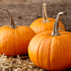 Pumpkin Jigsaw Puzzle