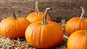 Pumpkin Jigsaw Puzzle