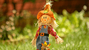 Scarecrow Jigsaw Puzzle