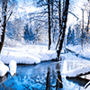 Winter Jigsaw Puzzle