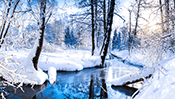 Winter Jigsaw Puzzle