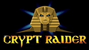 Crypt Raider