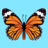 Butterfly Match Game