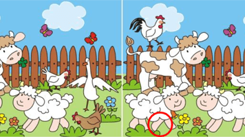 Find the Differences: Farm Animals | Play Find the Differences: Farm Animals  on PrimaryGames
