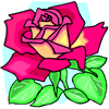 Rose Drag & Drop Puzzle